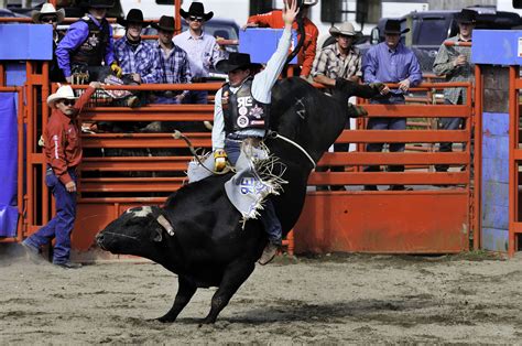 Rodeo Bullriding .